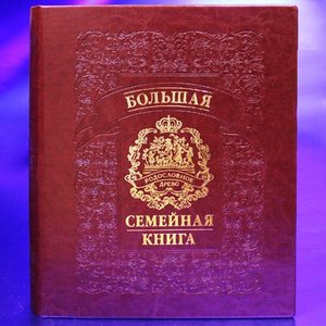 Большая семейная книга (1032га)