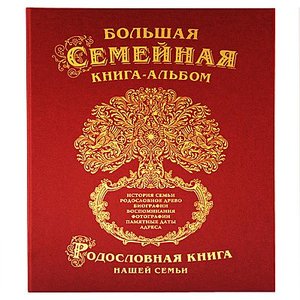 Большая семейная книга (1027га)