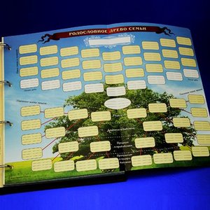 Большая семейная книга (1027га)